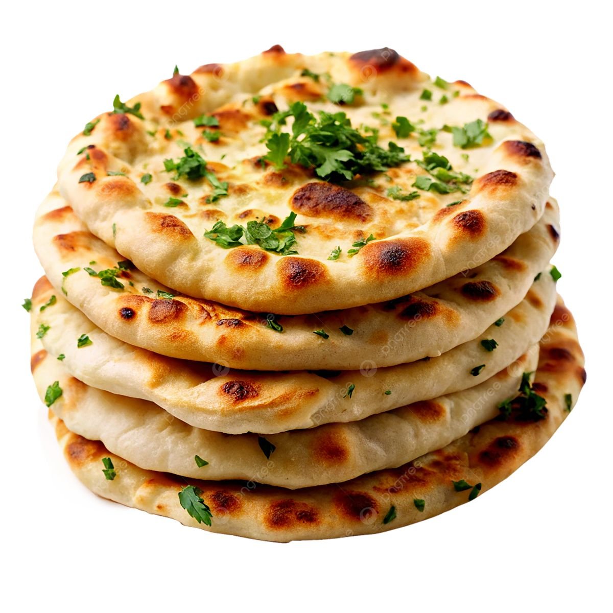 Non-Veg Starters (Mutton)